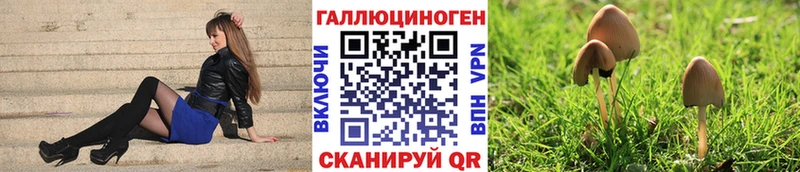 Галлюциногенные грибы мицелий Озёры
